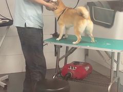 -艾贝尔宠物医院 ·中兽医·宠保定点(北门桥店)