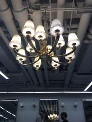 -MYCOLORHARSALON