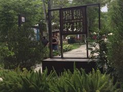-瑞穗牧场