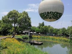 -西溪国家湿地公园