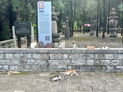 -四门塔风景区