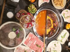 -小王少龙火锅(沙南街店)