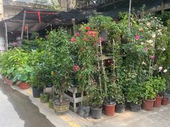 -金陵花卉交易市场