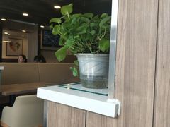 -魏家凉皮(十里河店)