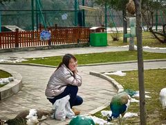 -横道河子东北虎林园