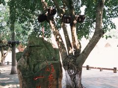 -平乐古镇