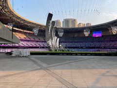 -杭州奥体中心-体育场