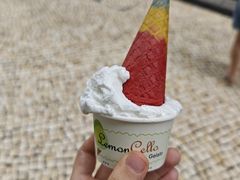 -柠檬车露(卖草地店)
