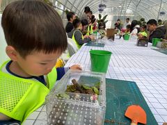 -嘉北郊野公园