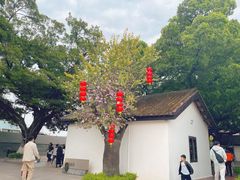 -长洲岛