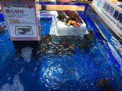 -盒马X会员店(王府井奥莱UP TOWN店)