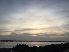 -宝安西湾红树林湿地公园