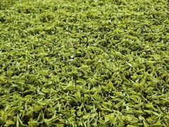 -兰剑驾校(汉阳校区)