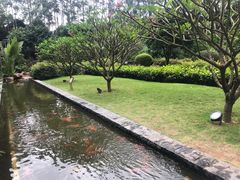 -南宁荔园维景国际酒店·荔园中餐厅