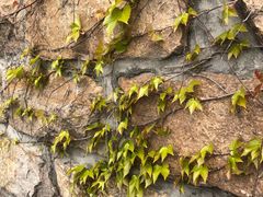 -共青国家森林公园-南大门停车场