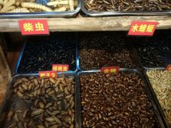 -昆虫窝子·特色云南菜(拓东路总店)