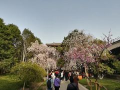 -西安青龙寺遗址景区