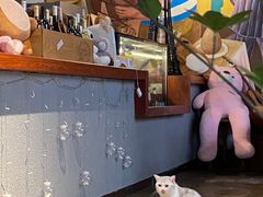 -咖法森林·咖啡  酒吧(天河店)