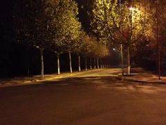 -陕西师范大学(雁塔校区)