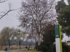 -月湖风景区