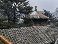 -潭柘寺景区