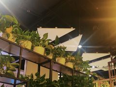 -四季合味椰子鸡(南山大冲店)