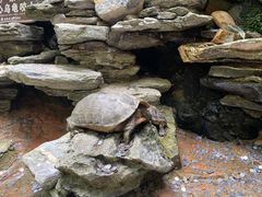 -古龙峡云天玻霸