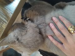 -小时光咖啡馆(北锣鼓巷店)