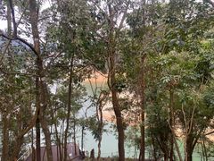 -广州市流溪河国家森林公园