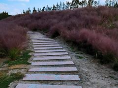 -嘉北郊野公园