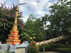 -瑞丽独树成林风景区