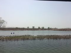 -苏州太湖湖滨国家湿地公园