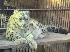 -青藏高原野生动物园