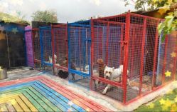 -萌宠亲子动物乐园(槐房万达店)