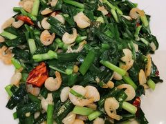 韭菜虾米-猎人苑