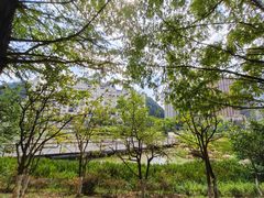 -花果园湿地公园