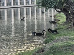 -厦门国家会计学院