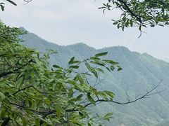 -洛阳白云山景区