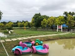-紫颐香薰山谷景区
