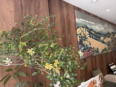 -Beans Solo豆号咖啡(百家湖花园店)
