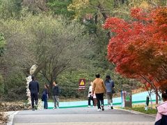 -南京市江宁方山
