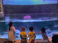 -沈阳海洋探索中心