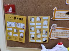 -滚猫咖啡·猫咖·猫友好撸猫(未来城店)