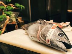 -上宴精品海鲜姿造(晶融汇旗舰店)