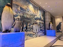 -帝企鹅自助餐厅•儿童岛•真企鹅(长隆企鹅酒店)