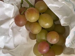 -马陆小张葡萄园农家乐