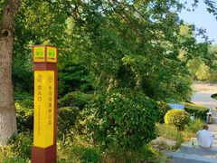 -长白岛森林公园