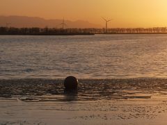 -野鸭湖国家湿地公园