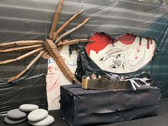 -爱睿思儿童早教亲子游泳(万象城店)