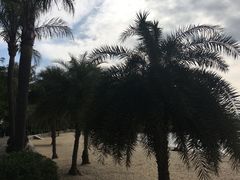 -鼓浪屿内厝澳码头(轮渡站)